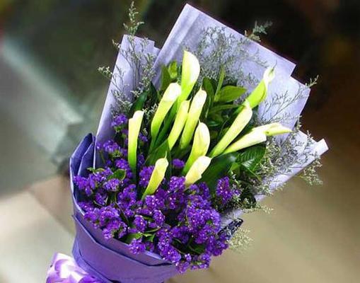 送姐姐什么花最合适？它的花语代表了什么？