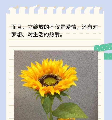 花语路的含义是什么？花语路代表什么？