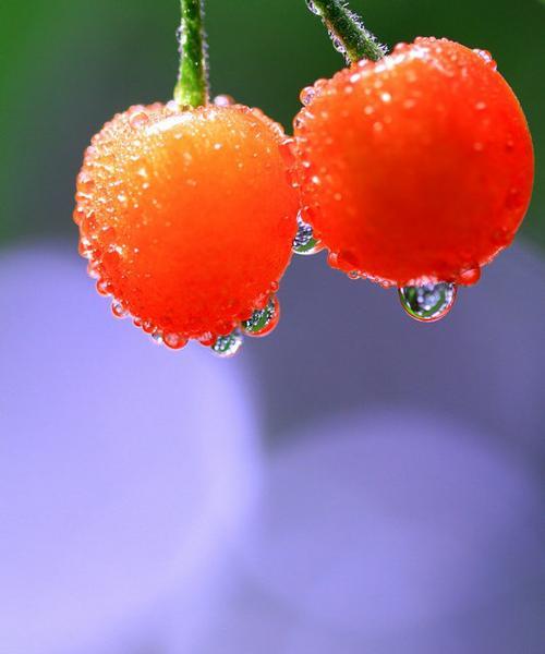 水豆花象征着什么？
