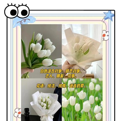 白花枝的花语有哪些寓意？