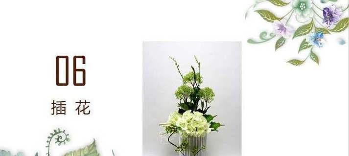 道具变换的花语是什么动物？表示感恩父母的花语是什么？