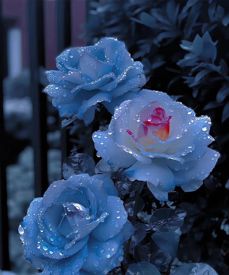 暗恋花的花语意思是什么？它如何表达暗恋？