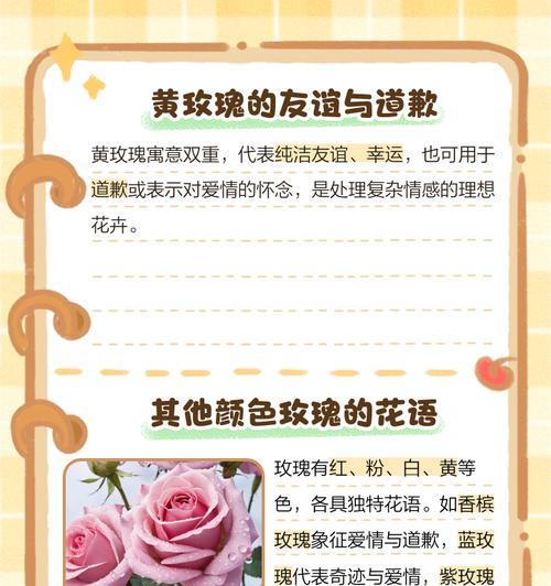 菊花与玫瑰搭配的花语是什么？它们在祭奠中有何特殊含义？