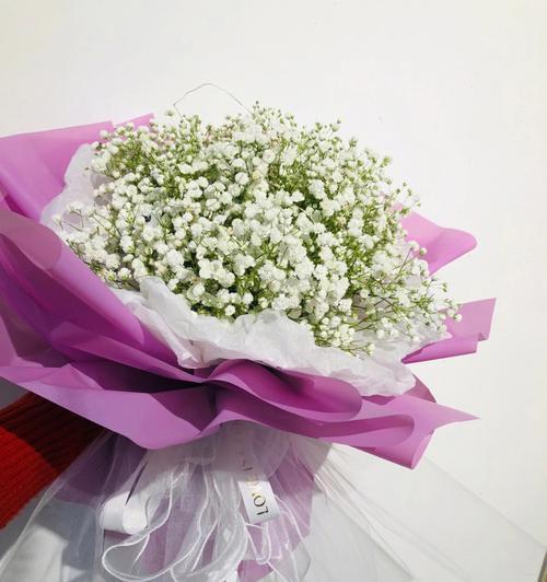 道具美美哒花语是什么？它象征着什么？