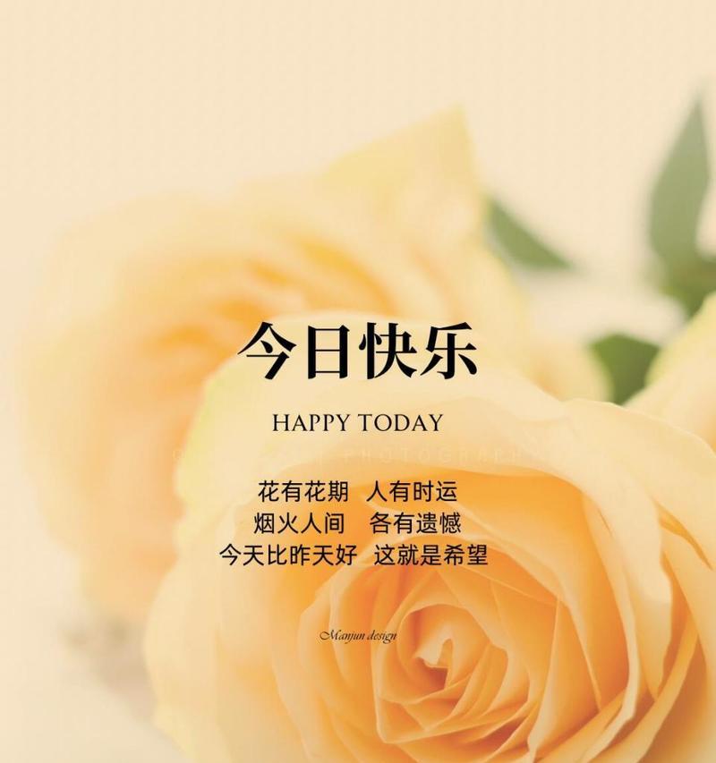 开心花的花语和寓意能否传递快乐？