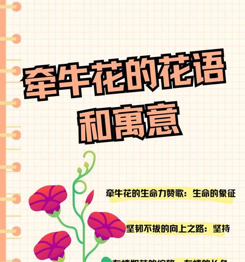 哪种花在花语中象征爱情？