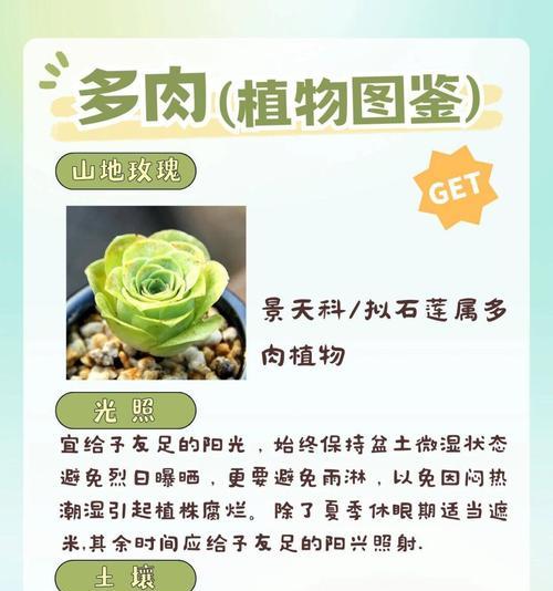 分享花语能带来哪些好处？