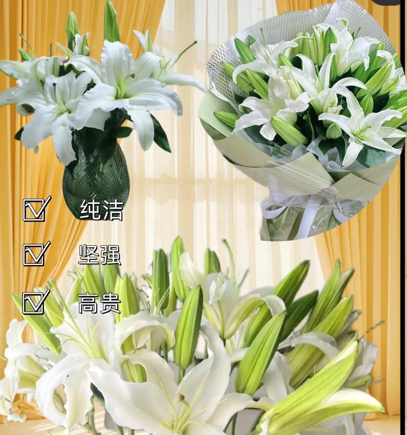 哪种花的花语代表高贵？