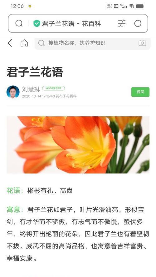 梅花的花语是什么？梅花语有哪些含义？