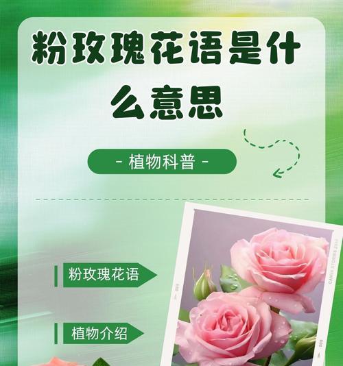 鲜花的花语有哪些？每种鲜花代表什么意义？
