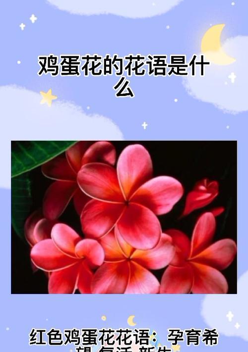 鸡蛋花的花语有哪些含义？
