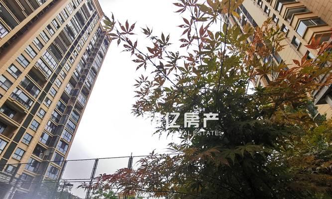 宿州花语华府价格为何低廉？购买时应注意什么？