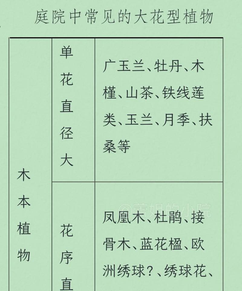 哪种花象征着伙伴之间的关系？
