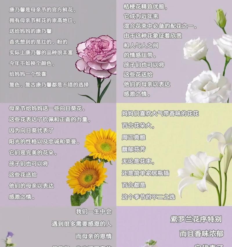 卖花配上花语是什么？如何选择合适的花语来搭配鲜花？