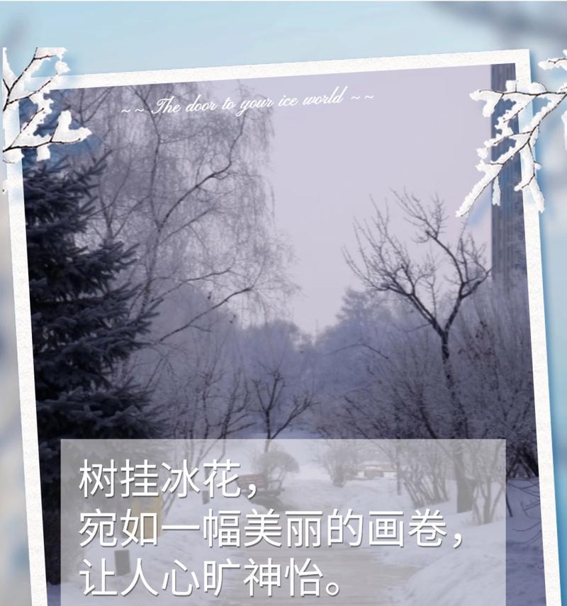 树上的冰花的花语是什么？树上的冰花寓意着什么？