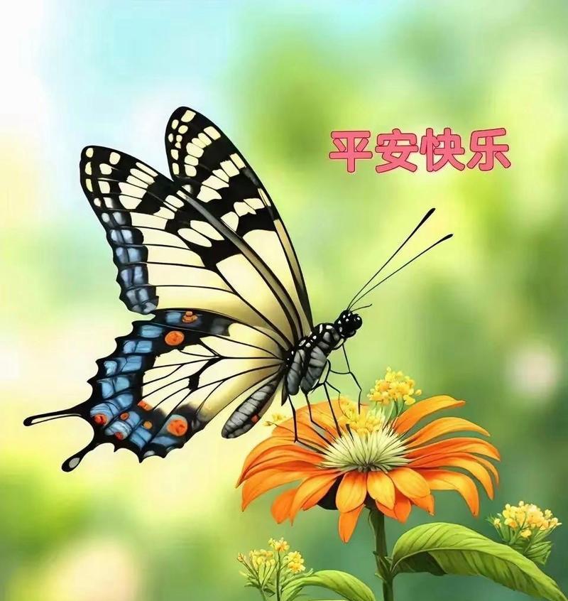 自由快乐坚强的花语代表什么含义？