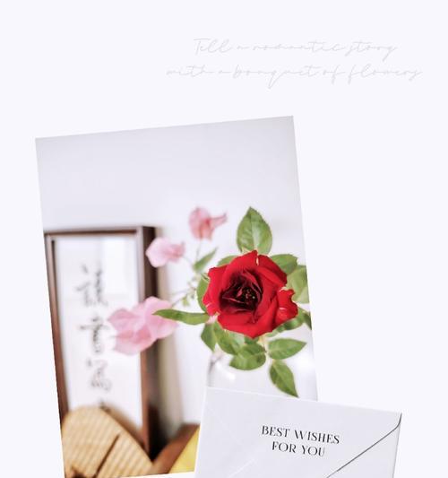 自由快乐坚强的花语代表什么含义？