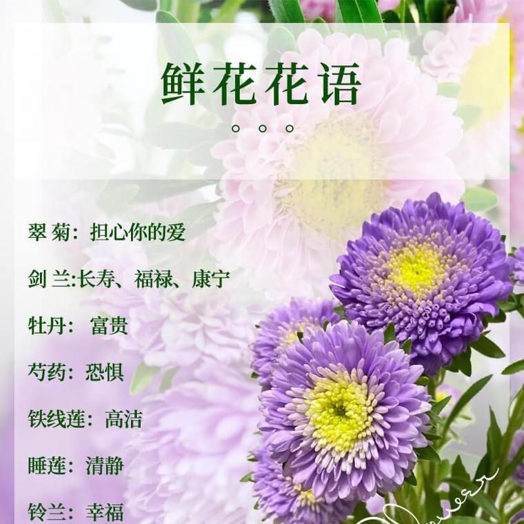 鲜花的花语通常代表什么？