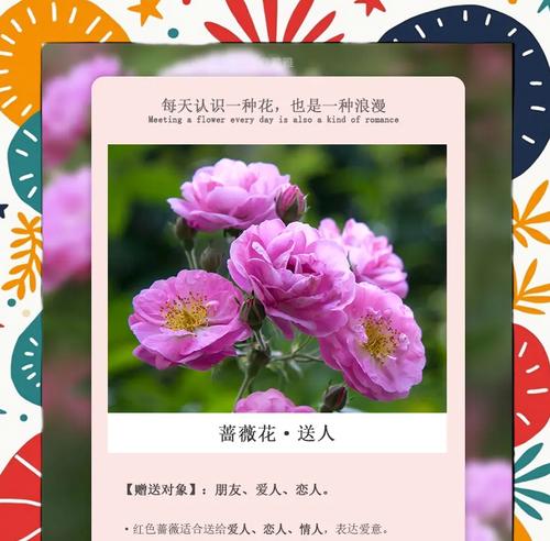 哪种花象征着永恒不变的爱情？