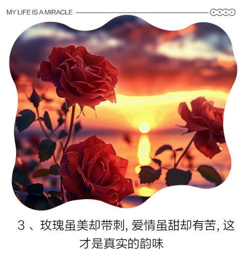 怎样快速表达深情的玫瑰花语？它传递了哪些情感？