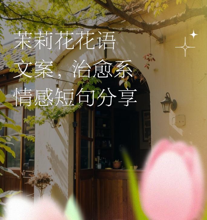 哪种花代表重逢？花语是什么？