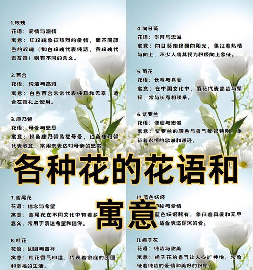 白花的花语有哪些含义？