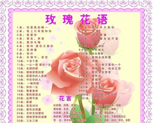 彩绘玫瑰花语有何特别之处？