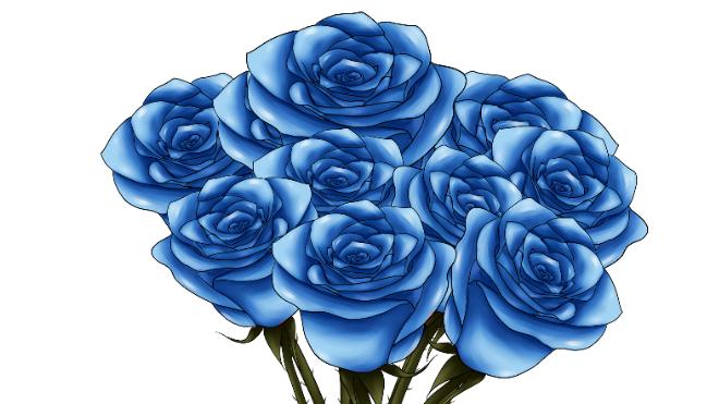 彩绘玫瑰花语有何特别之处？