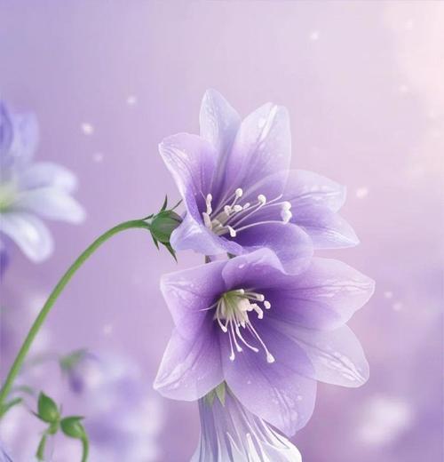 哪种花的花语代表永生难忘的爱？永生难忘的爱的花语是什么？