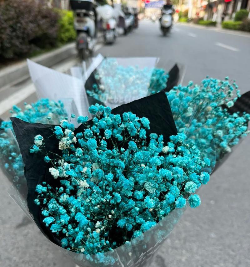 哪种花的花语表达了想去远方的愿望？