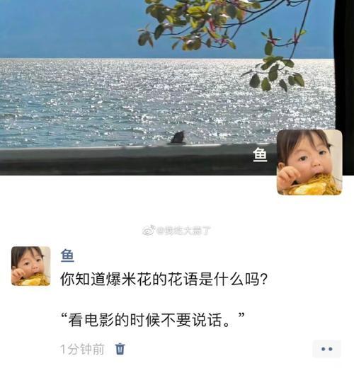 爆炸米花的花语有何含义？它象征着什么？