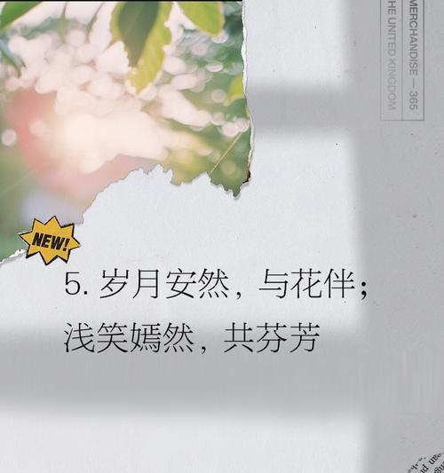 花语中有哪些经典的句子？