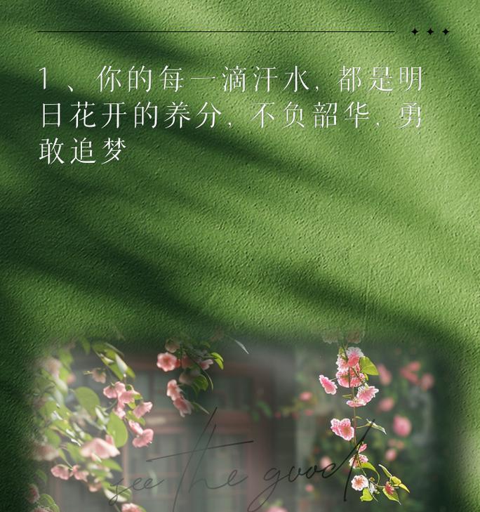 努力蹦跑的花语寓意何在？它象征着什么？