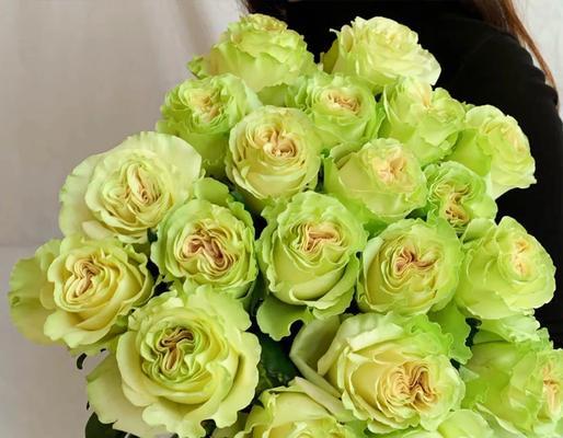 琉璃花与玫瑰花的对比：各自的美丽与特性
