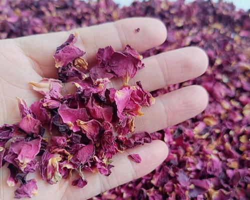 玫瑰花的花瓣数量：揭秘大自然的美妙数字