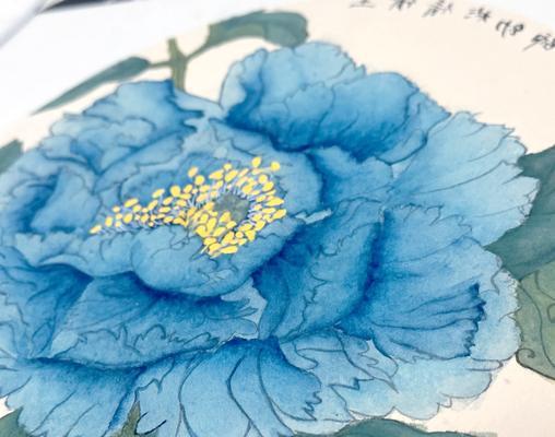 蓝金色牡丹花的养护要点是什么？如何确保花开富贵？
