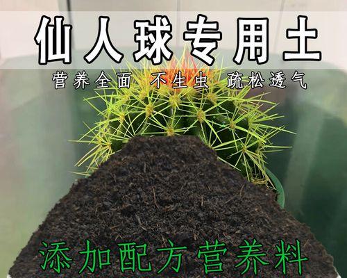 仙人球土壤营养土的配制方法是什么？