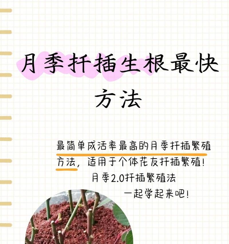 春天扦插仙人掌花的方法是什么？扦插后多久能生根？