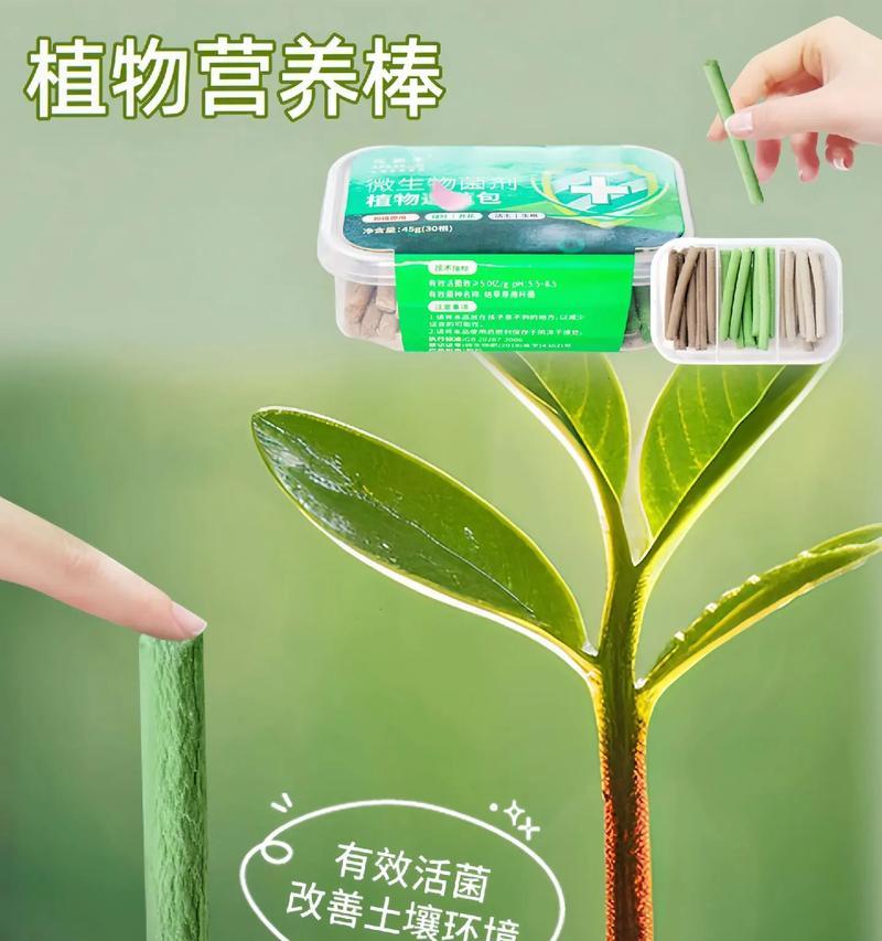 仙人球肥料指南：提升生长的营养秘籍