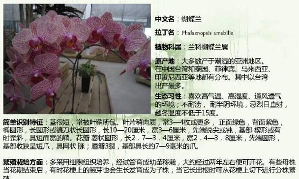 室内仙人掌苗过冬方法指南