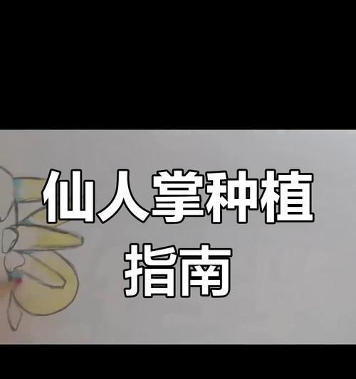 中华仙人掌苗的种植步骤是什么？