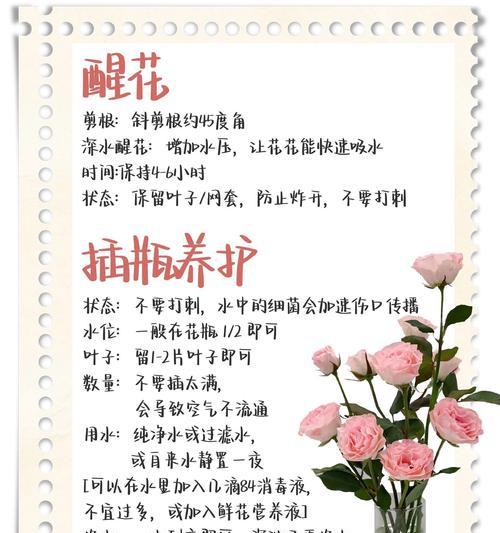 玫瑰花叶子发黄的原因是什么？如何进行有效养护？