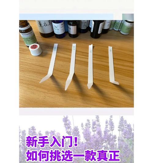 玫瑰花小蚊子的养护方法是什么？如何确保其健康成长？