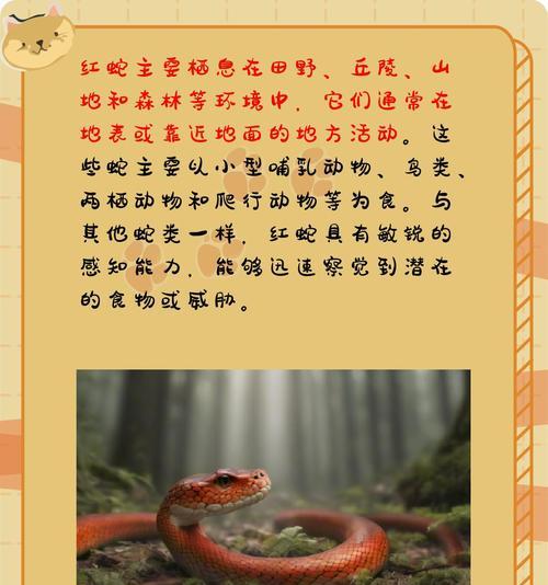 赤练蛇与玫瑰花：从外观到本质，学会如何区分它们