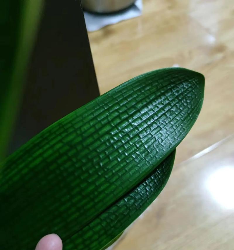 君子兰憋芽子多是正常现象吗？