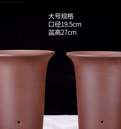 君子兰大盆带瓷盆种植好吗？如何正确养护？