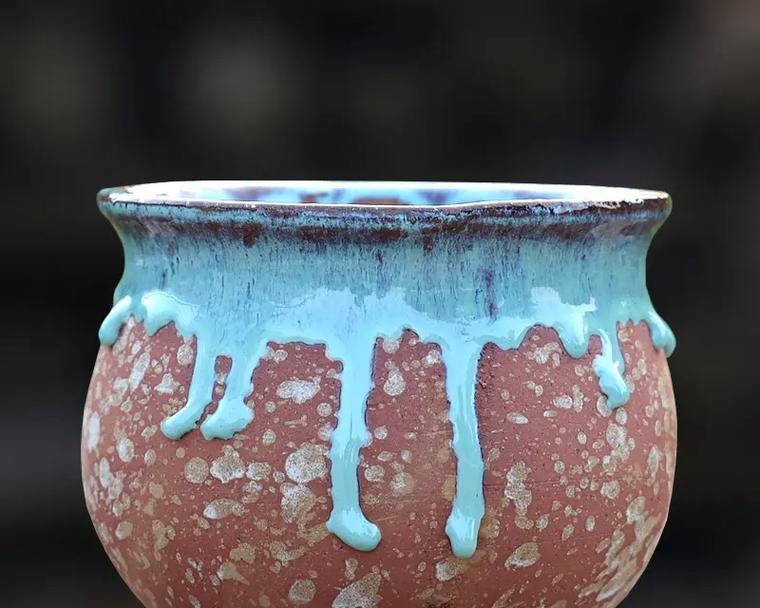 君子兰大盆带瓷盆种植好吗？如何正确养护？