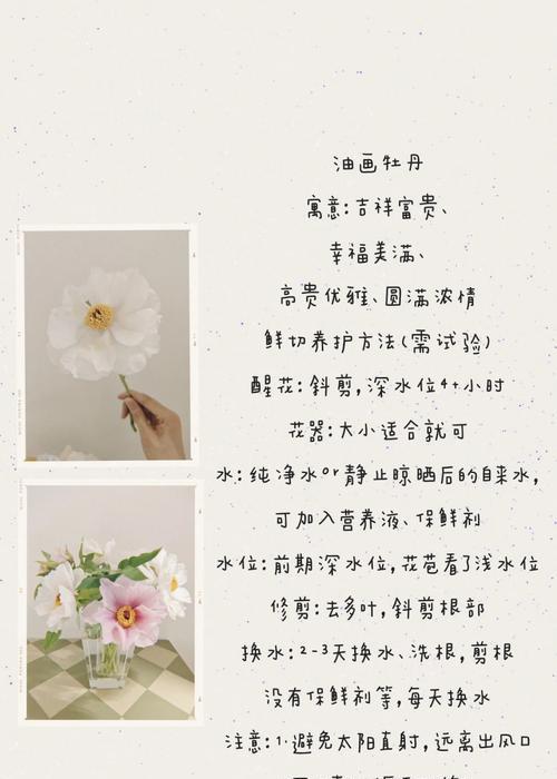 牡丹花单枝花的养护方法是什么？如何保持花期长？