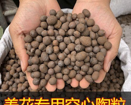 仙人球用陶粒土种植的方法是什么？