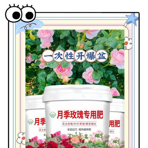 玫瑰花的施肥需求是什么？